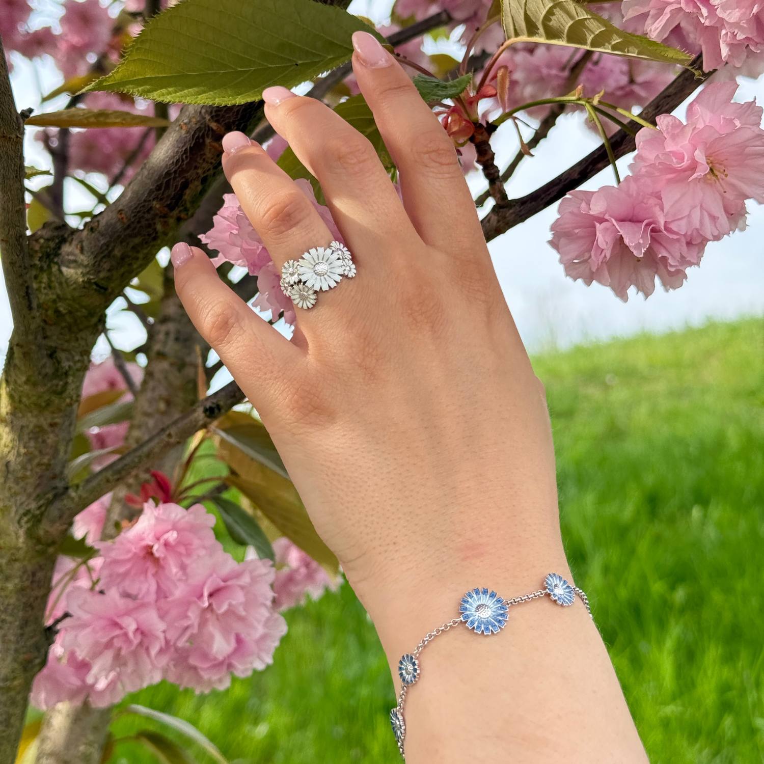 DETAIL242904
