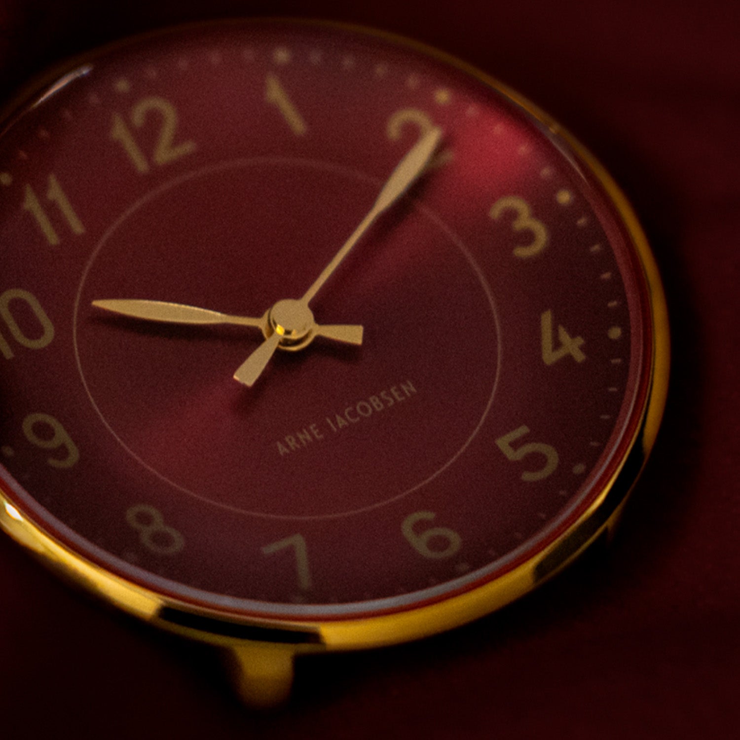 DETAIL244185