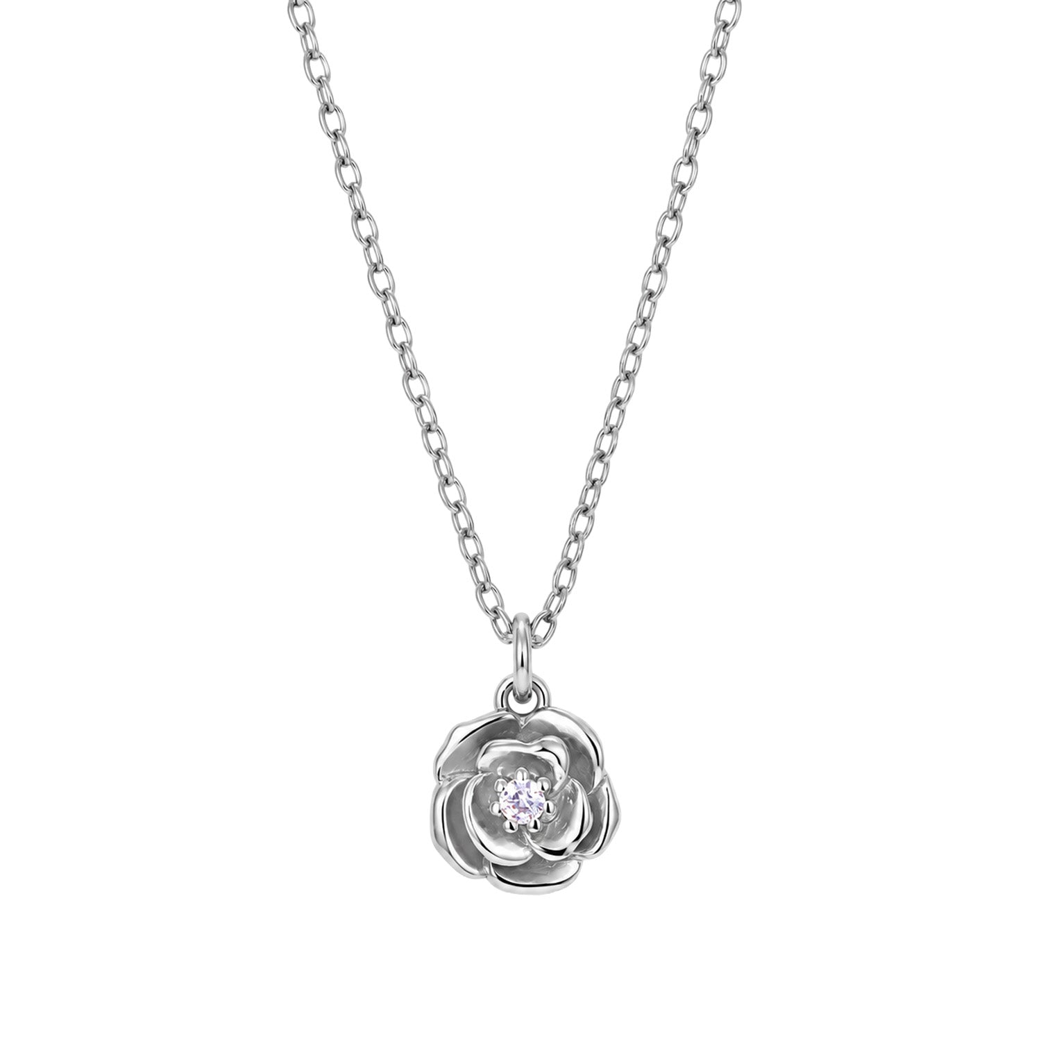DETAIL253137